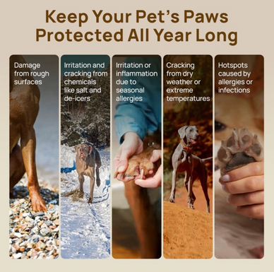 Transform Your Pet's Comfort and Happiness Today!