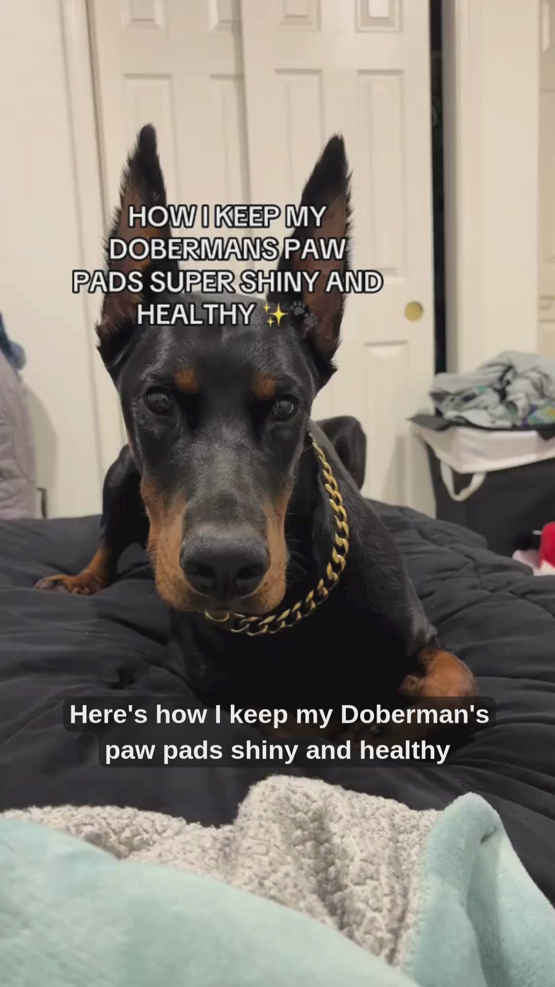 Paw Restore Balm™ video